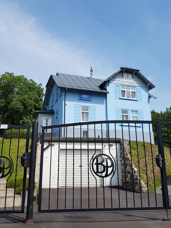 Blue Pension Svoboda nad Úpou Dış mekan fotoğraf